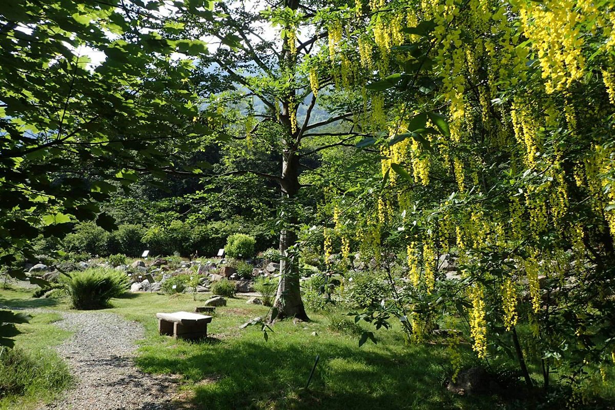 Giardino Botanico di Oropa