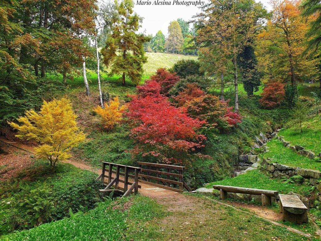 Riserva Naturale Parco Burcina “Felice Piacenza”