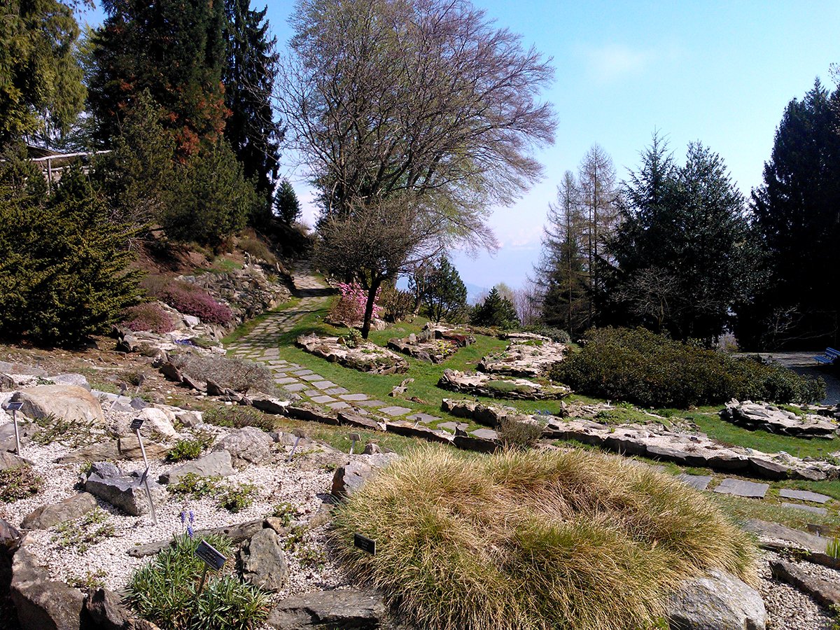 Giardino Botanico Alpinia